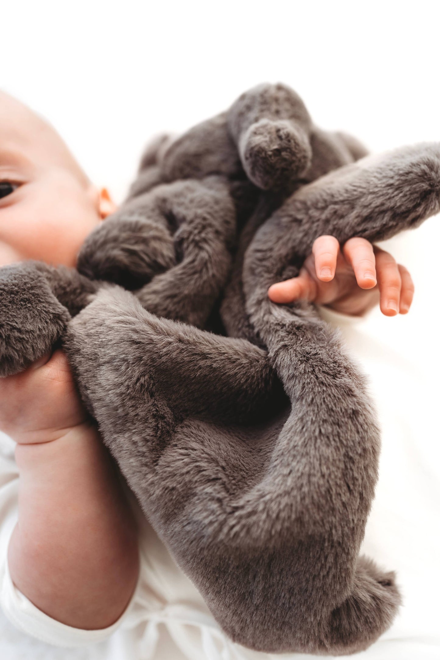 Grey Elephant Snuggle Bear
