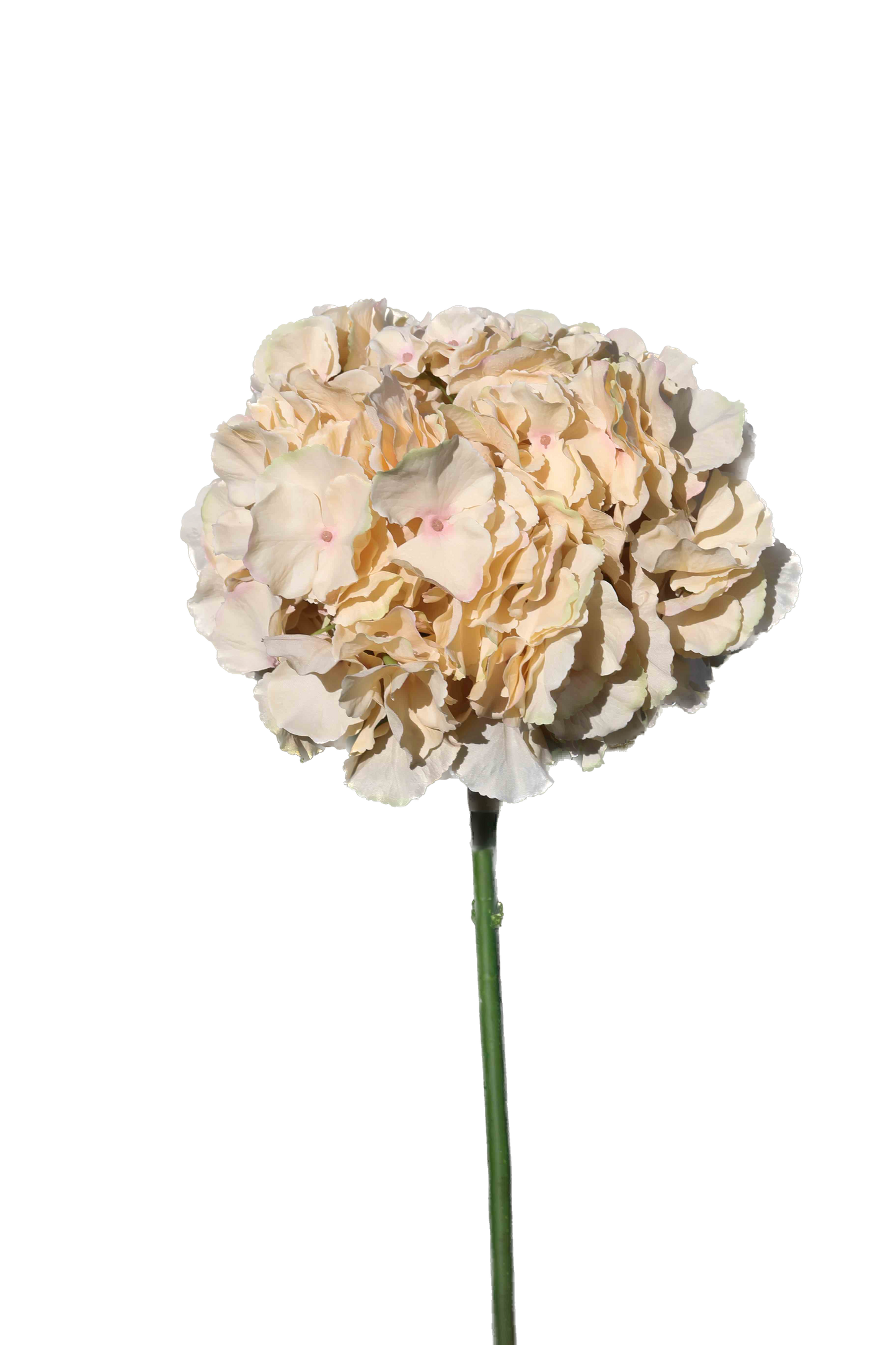 Artificial Caramel Hydrangea Large