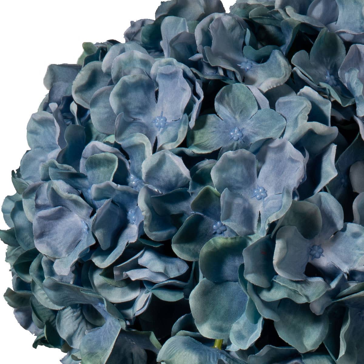Blue Extra Large Hydrangea