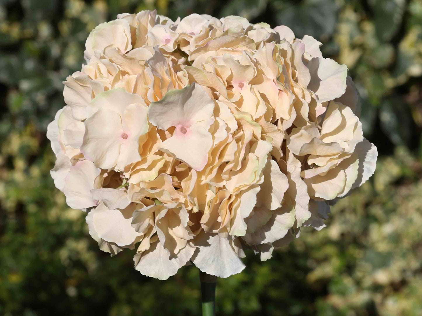 Artificial Caramel Hydrangea Large