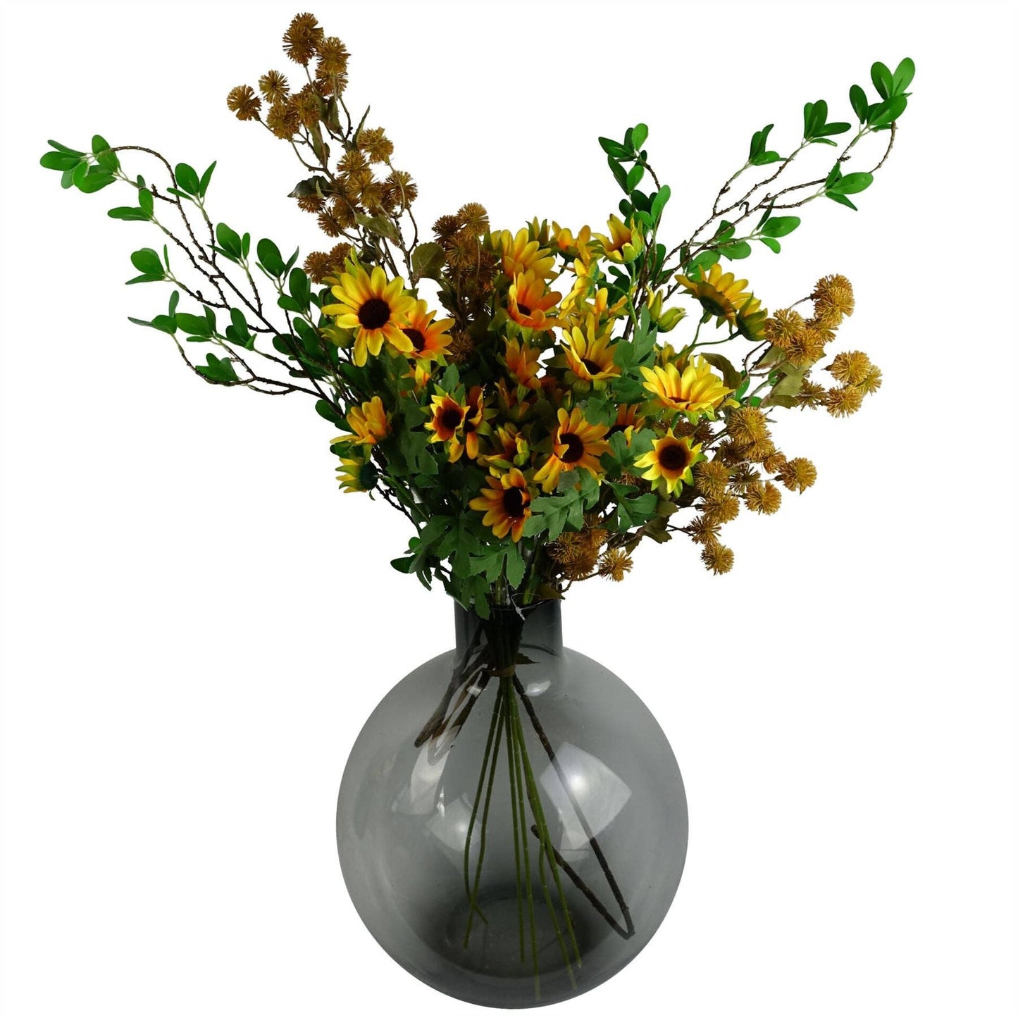 Craspedia Stem Yellow