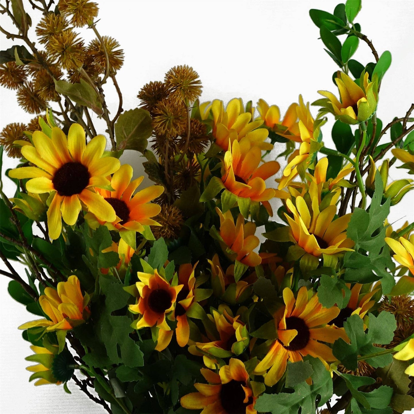 Craspedia Stem Yellow