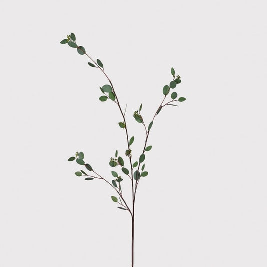 Seeded Eucalyptus Stem