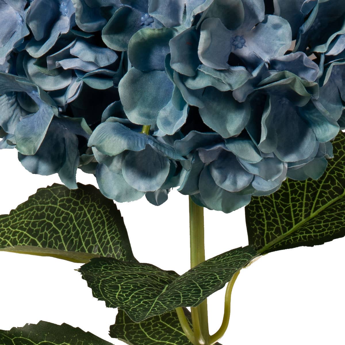 Blue Extra Large Hydrangea