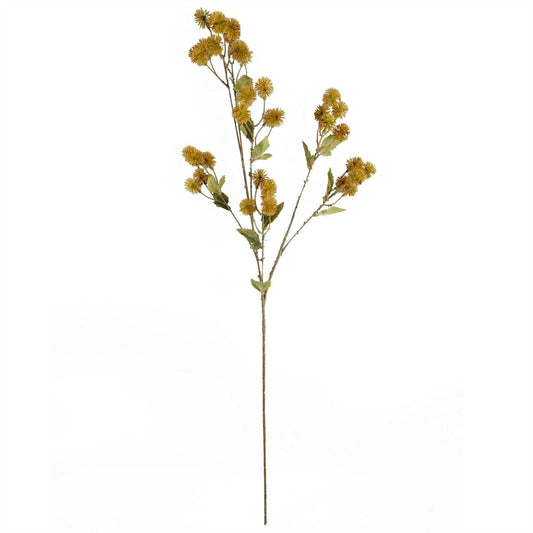 Craspedia Stem Yellow