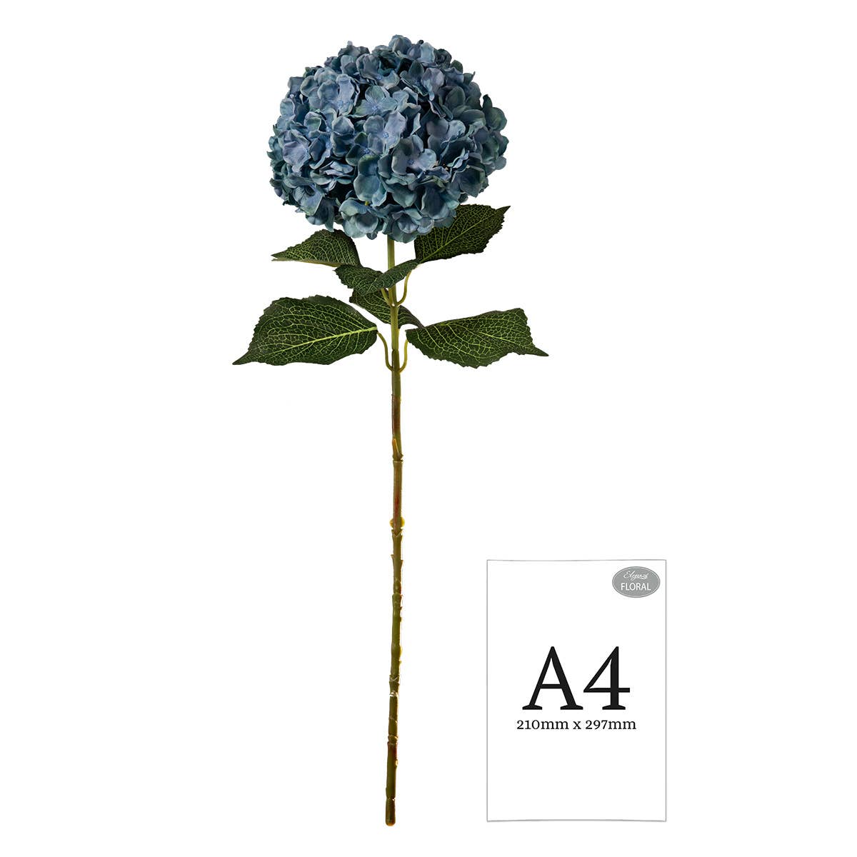 Blue Extra Large Hydrangea