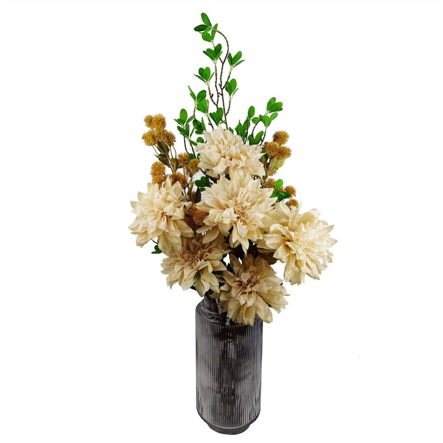 Craspedia Stem Yellow